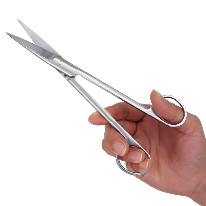 12.5cm/14cm/16cm/18cm 치과용 스테인리 - Medical Scissors 리뷰 및 가격